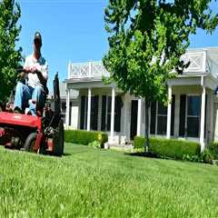 Maintaining a Lush Lawn: Tips for In-Between Professional Lawn Care Services