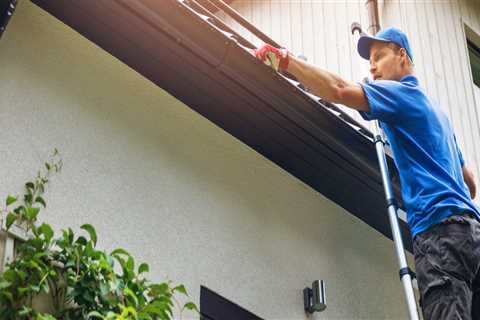 Mold Inspection Northern Virginia: Why Gutter Installation Services Should Be Your First Line Of..