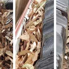 How Often to Clean Gutters: A Comprehensive Guide