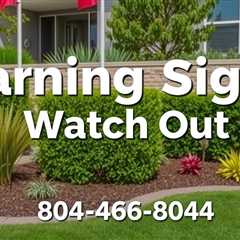 Commercial Landscaper Red Flags: Warning Signs To Watch Out For Truco Services (801) 466–8044