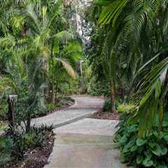 Orlando's Best-Kept Secrets: Top Tree Services For Perfectly Planted Landscaping