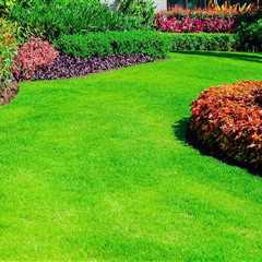 The Importance of Seasonal Landscaping Services for Maintaining a Beautiful Lawn