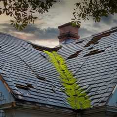 Top 5 Signs Your Roof Needs Repair in Quincy MA