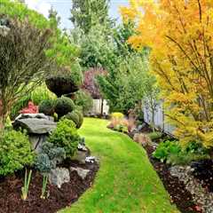Designing Nature’s Beauty: How a Landscape Architect Can Transform Your Outdoor Space
