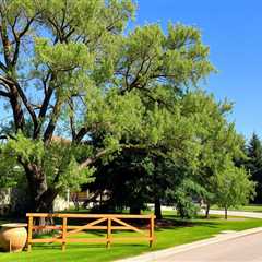 Sustainable Tree Services Clearfield UT