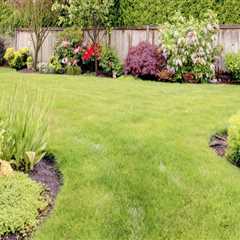Understanding Local Climate and Soil Conditions for Landscaping and Tree Services