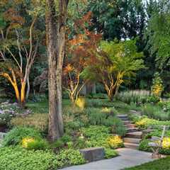 Pruning for a Beautiful and Healthy Outdoor Space
