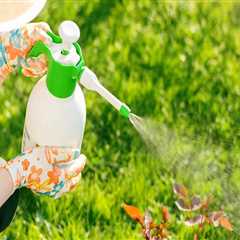 Pest and Disease Control for Garden Services
