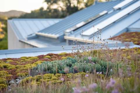 Sustainable Residential Roofing: Eco-Friendly Options for the Modern Homeowner
