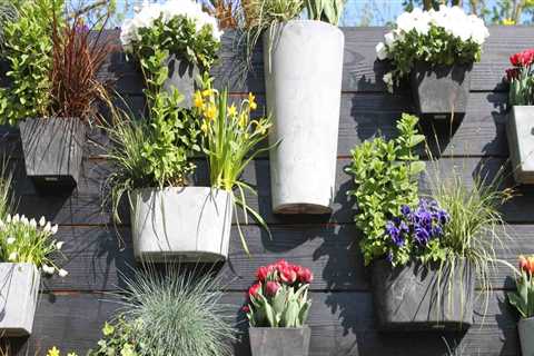 Repurposing and Upcycling Trends: How to Improve Your Home and Garden