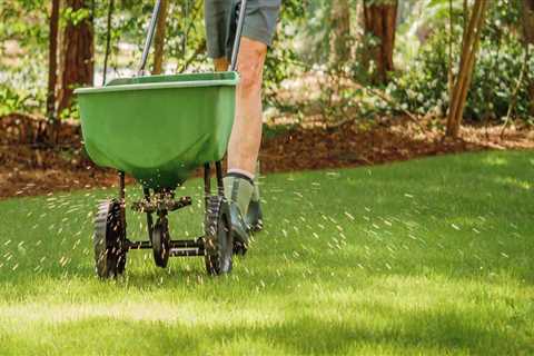 Tree and Shrub Fertilization Options: A Comprehensive Guide for Home Remodeling and Lawn Care