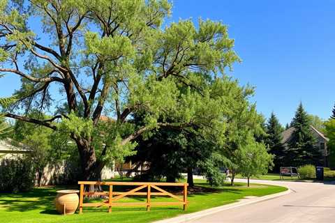 Sustainable Tree Services Clearfield UT