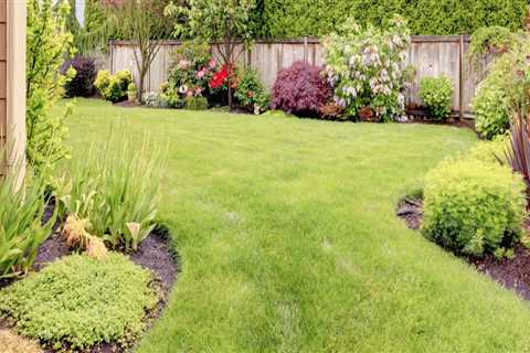 Understanding Local Climate and Soil Conditions for Landscaping and Tree Services