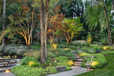 Pruning for a Beautiful and Healthy Outdoor Space