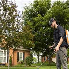 How Hiring Professionals for Landscaping and Tree Services Can Lead to Long-Term Cost Savings