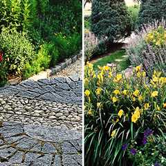 Seasonal Plantings and Clean-Up: Tips and Techniques for a Beautiful Outdoor Space