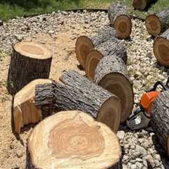 Patio First, Tree Felling Second: A Smart Order For Pflugerville Home Projects