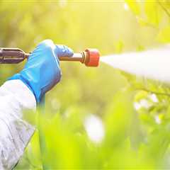 Land Clearing And Pest Control Why Las Vegas Businesses Need Commercial Exterminators