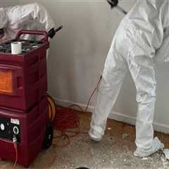The Role Of Mold Remediation Service In Successful Presale Home Renovations In Charleston