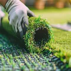 Why Do Landscape Architects In Winter Garden Recommend Artificial Grass Installation In Homes