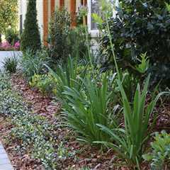 Transforming Orlando, FL: How Landscaping Services Elevate Outdoor Spaces