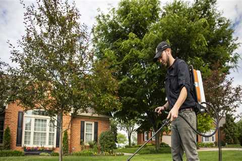 How Hiring Professionals for Landscaping and Tree Services Can Lead to Long-Term Cost Savings