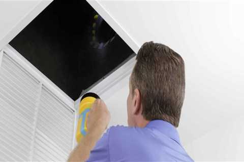Keep It Cool And Clean: Maintaining NJ Commercial Refrigeration After A Mold Inspection