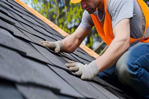 From Mold Inspection To Roof Replacement Service: Restoring Your Front Royal Home