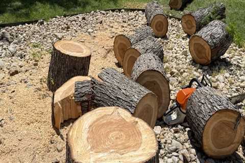Patio First, Tree Felling Second: A Smart Order For Pflugerville Home Projects