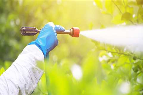 Land Clearing And Pest Control Why Las Vegas Businesses Need Commercial Exterminators