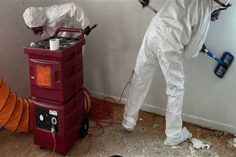 The Role Of Mold Remediation Service In Successful Presale Home Renovations In Charleston