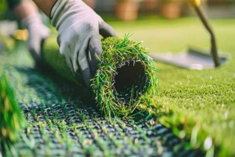 Why Do Landscape Architects In Winter Garden Recommend Artificial Grass Installation In Homes