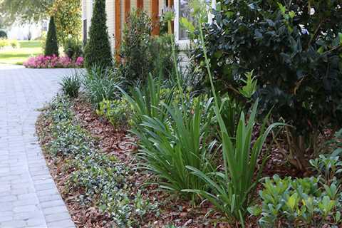 Transforming Orlando, FL: How Landscaping Services Elevate Outdoor Spaces