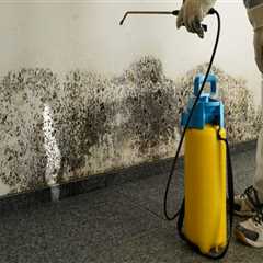 Central Florida Commercial Cleaning That Complements Mold Inspection Protocols