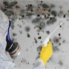 The Unseen Threat: How Mold Removal Service Prevents Damage To Granite Countertops In Murray