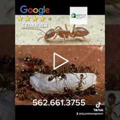 Your trusted pest control company!