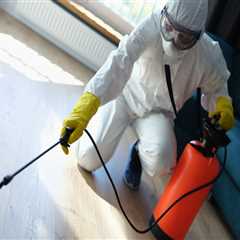 Protect Your Hardwood Floors: Why Flea Pest Control In Hollywood Is Essential