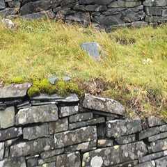 Elevate Your Design with the Rich Texture of Natural Stone Building Materials