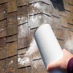 The Roof Over Your Head: Why Moss Removal Is Essential Before Replacement