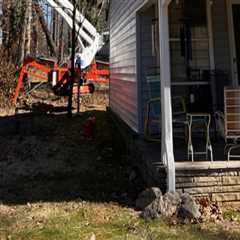The Art Of Tree Pruning: How Professional Services In Johnson City Can Transform Your Landscape