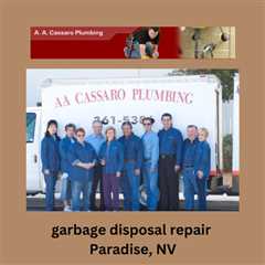 garbage disposal repair Paradise, NV