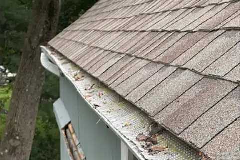 Gutter Cleaning Company Hunt Valley, MD · Wednesday, May 21 📸