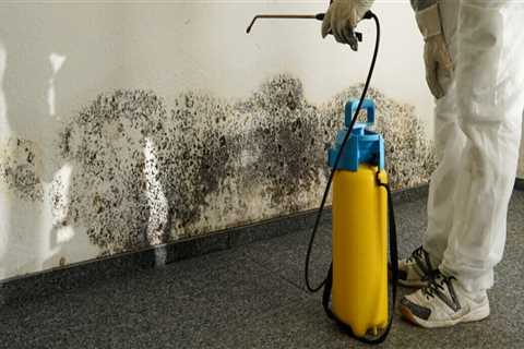 Central Florida Commercial Cleaning That Complements Mold Inspection Protocols