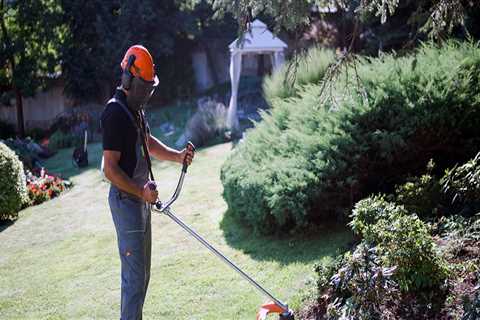 Why Combining Tree Care Services And Lawn Care Creates Lasting Results