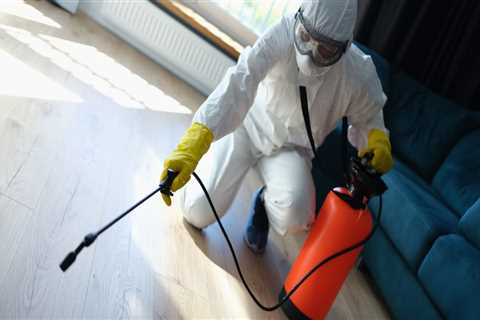 Protect Your Hardwood Floors: Why Flea Pest Control In Hollywood Is Essential