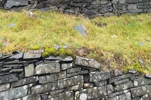 Elevate Your Design with the Rich Texture of Natural Stone Building Materials