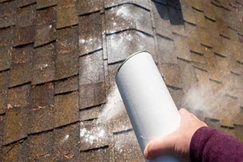 The Roof Over Your Head: Why Moss Removal Is Essential Before Replacement