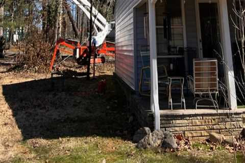 The Art Of Tree Pruning: How Professional Services In Johnson City Can Transform Your Landscape