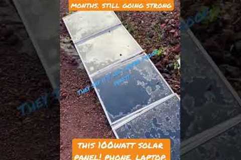@massimomotorsport  got anything else? Off grid ☀️ In Hawaii🌋🍍#solarpanel #shorts