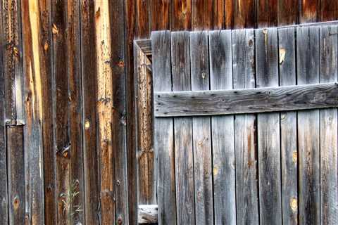 Why Dry Rot Repair Service Should Always Be Paired With Mold Inspection In Tigard, OR?